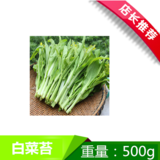 白菜苔